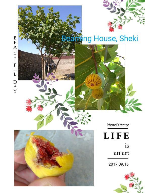 Hotel Beaming_House Şǝki Exterior foto